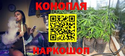 прущие крисы Тверь