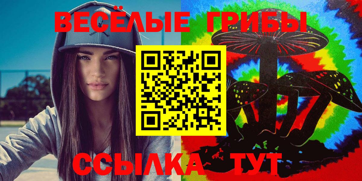Галлюциногенные грибы MAGIC MUSHROOMS Вязьма