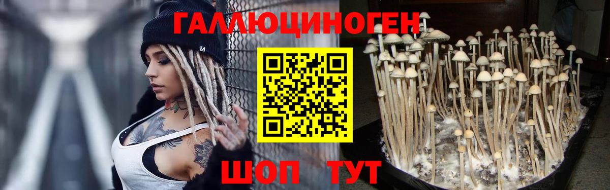 Вязьма  Галлюциногенные грибы мицелий  Псилоцибиновые грибы Psilocybine cubensis  Вход с VPN 